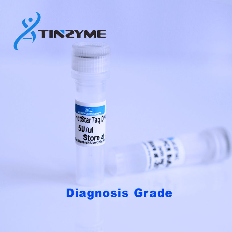 HotStar DNA Polymerase bulk pack for IVD